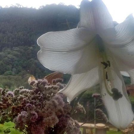 Morada Rancho Da Lua Bed & Breakfast Monte Verde  Exterior foto