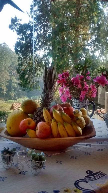 Morada Rancho Da Lua Bed & Breakfast Monte Verde  Exterior foto
