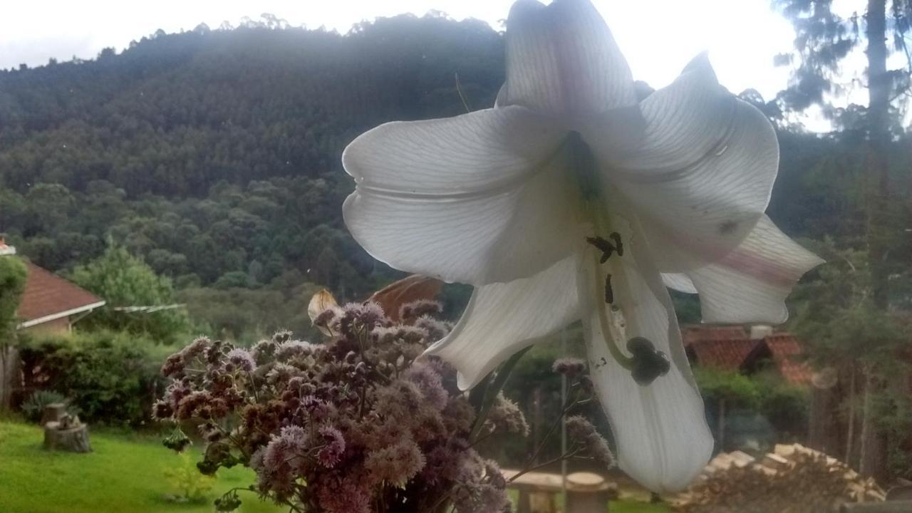 Morada Rancho Da Lua Bed & Breakfast Monte Verde  Exterior foto